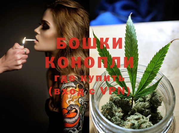 сатива Горняк
